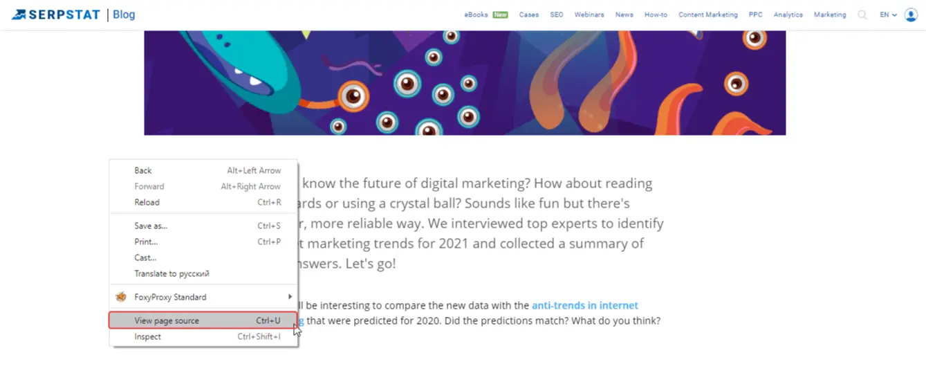 View page source